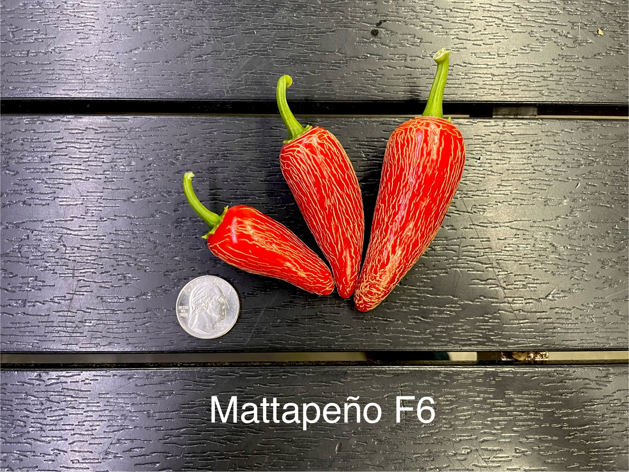 Mattapeño F6 Pepper - Imagen 2