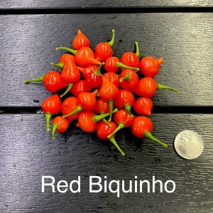 Biquinho, Red Pepper