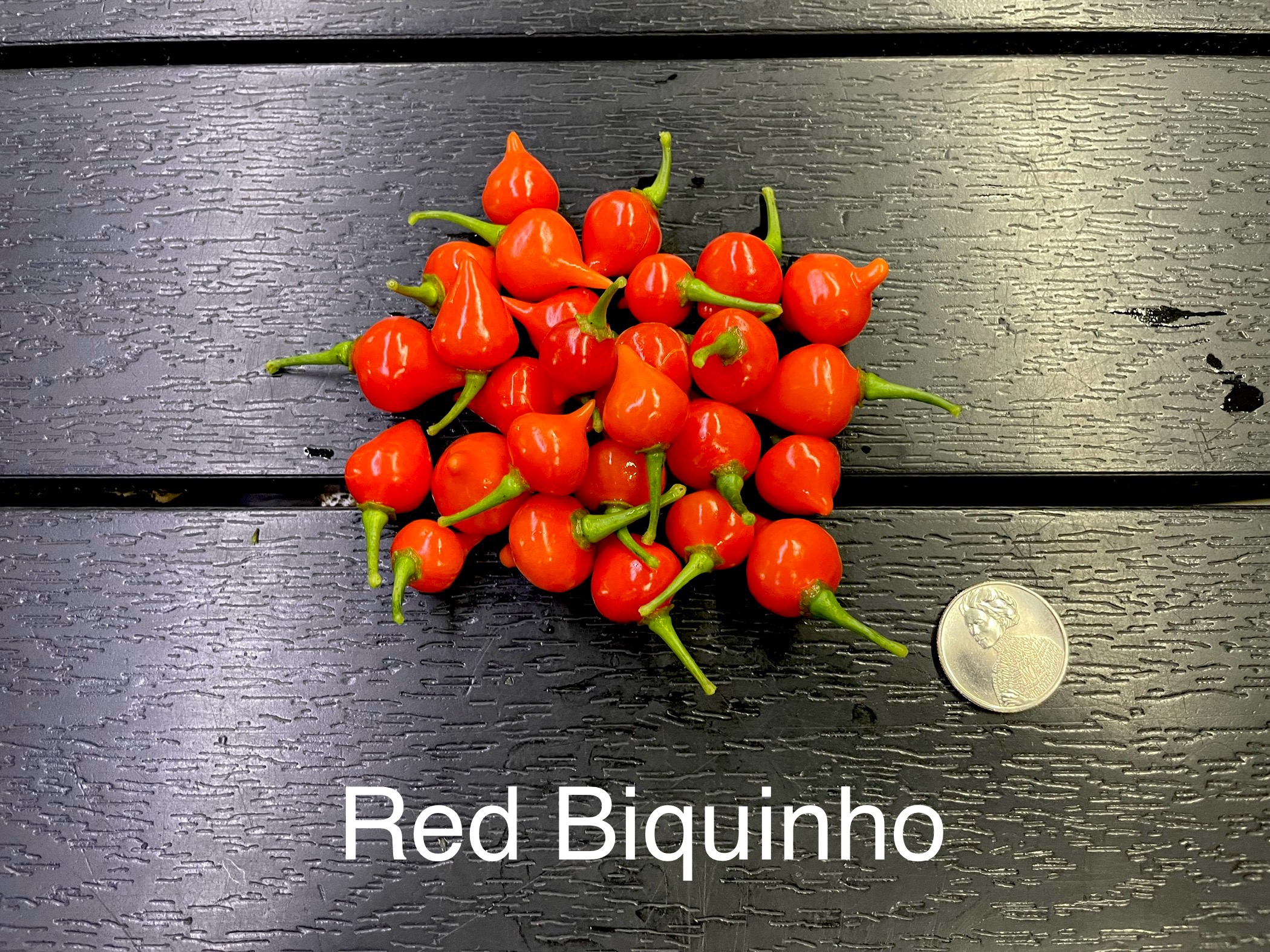 Biquinho, Red Pepper