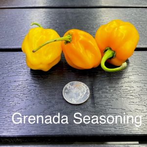 Grenada Seasoning Pepper