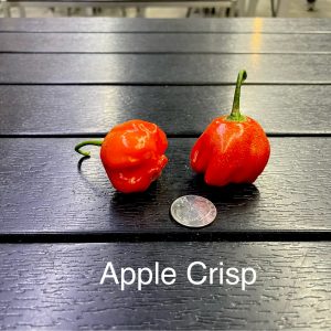 Apple Crisp Pepper
