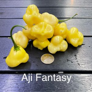 Aji Fantasy