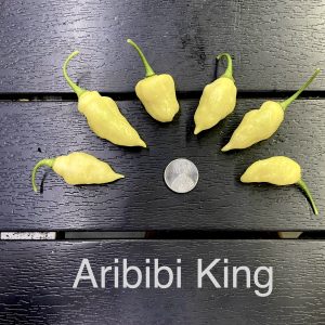 Aribibi King Pepper