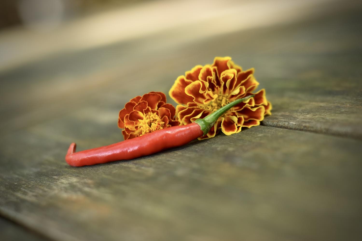 Gong Bao Pepper - immagine 2