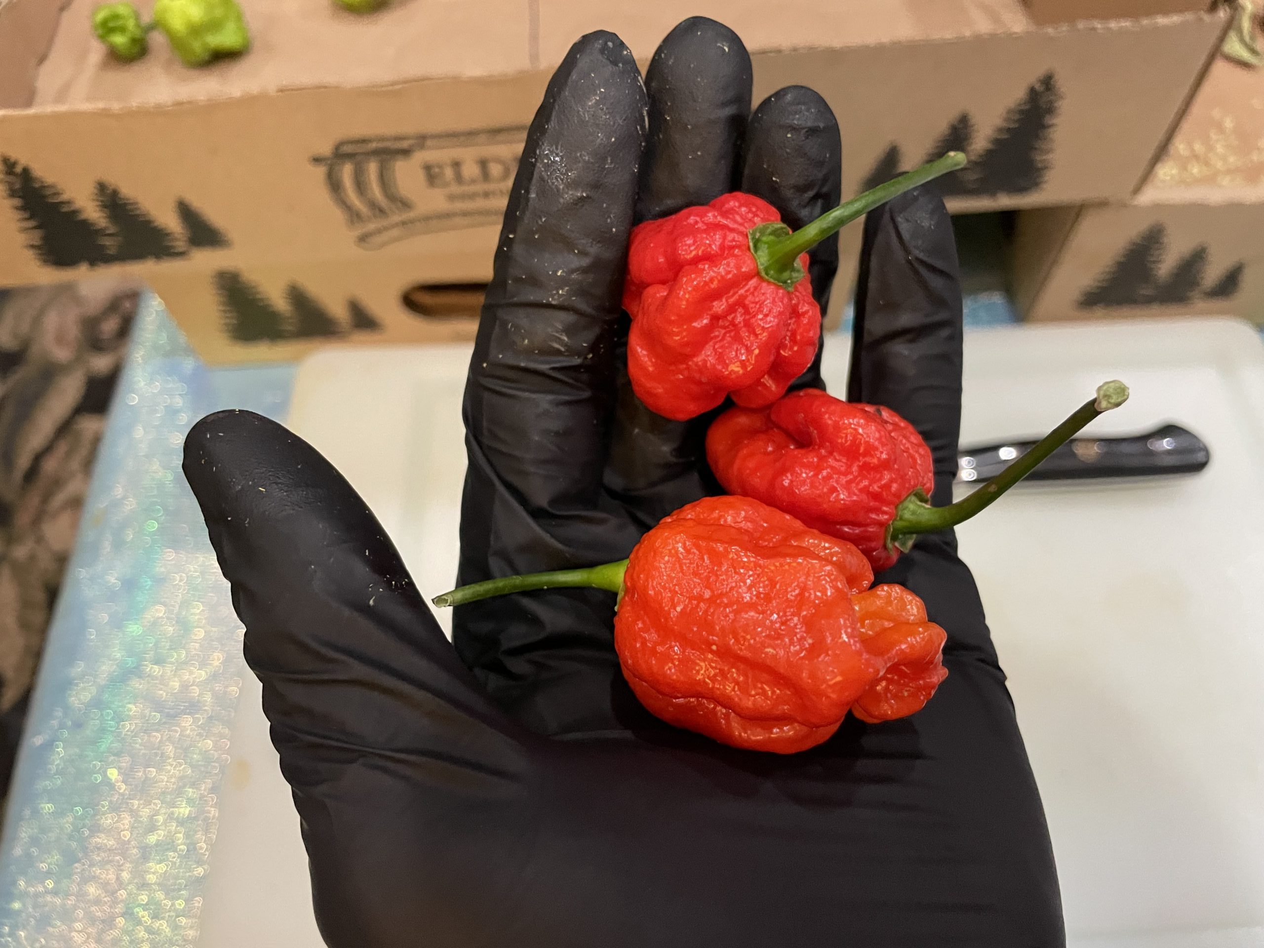 Sakay Lani Lally Pepper - immagine 3