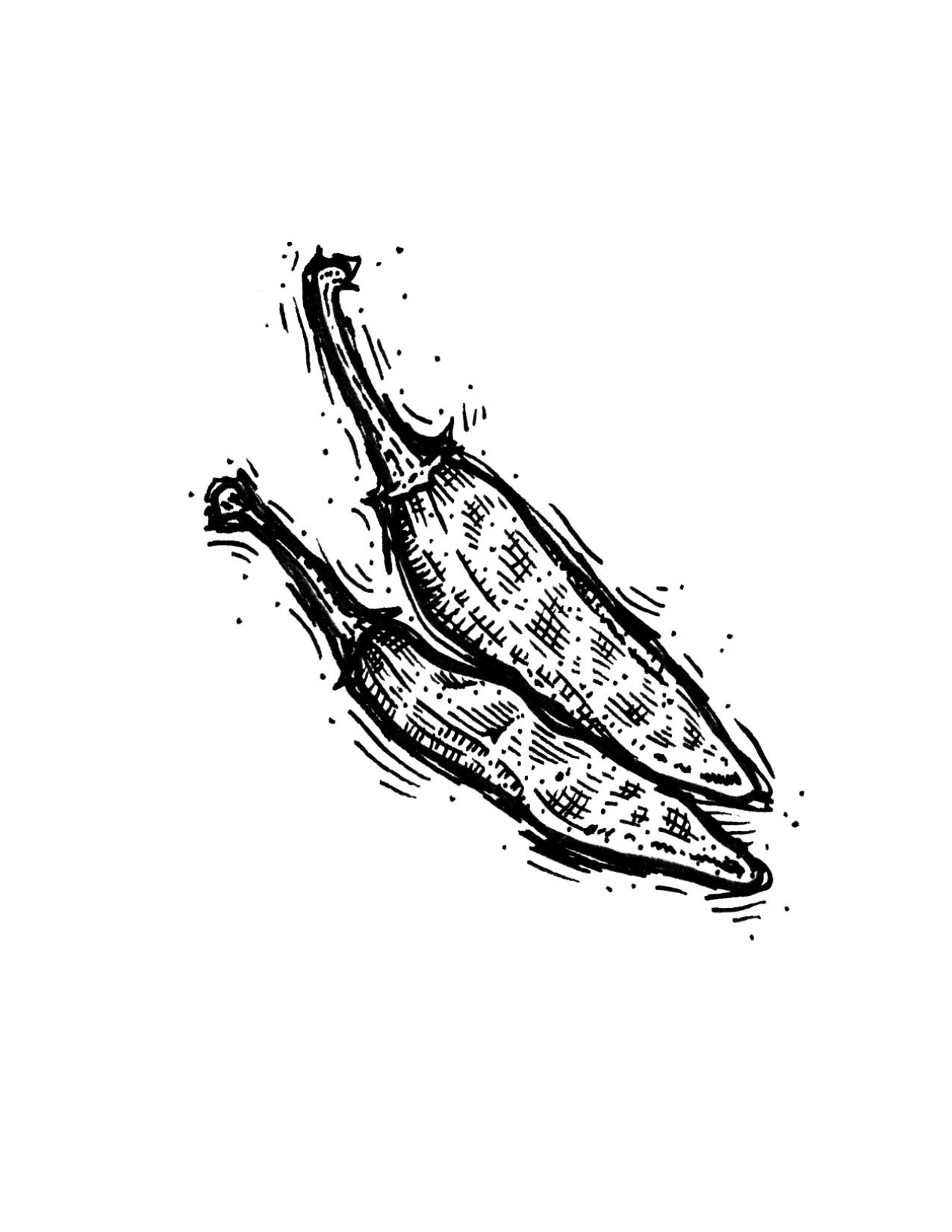 CatFish Pepper - Image 2