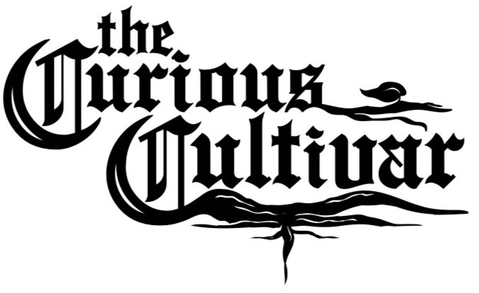 The Curious Cultivar