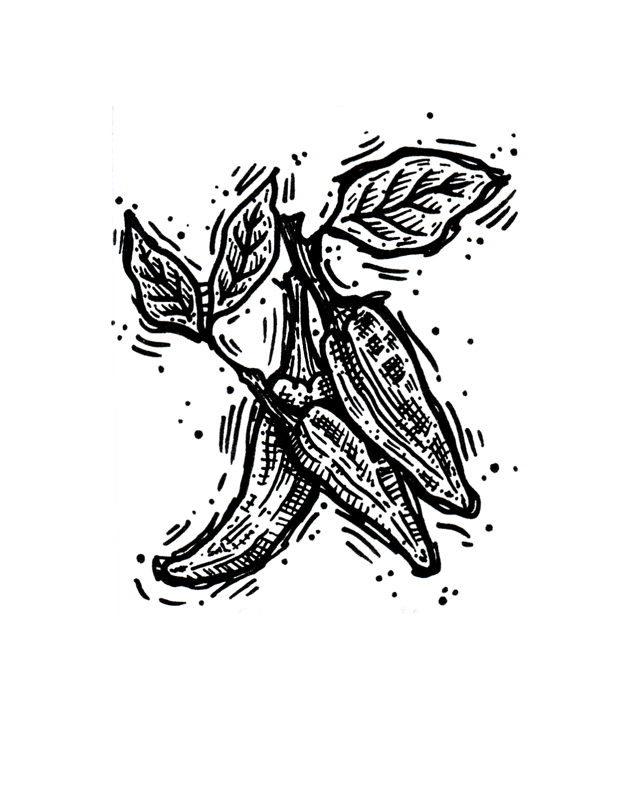 Fish Pepper - Image 5