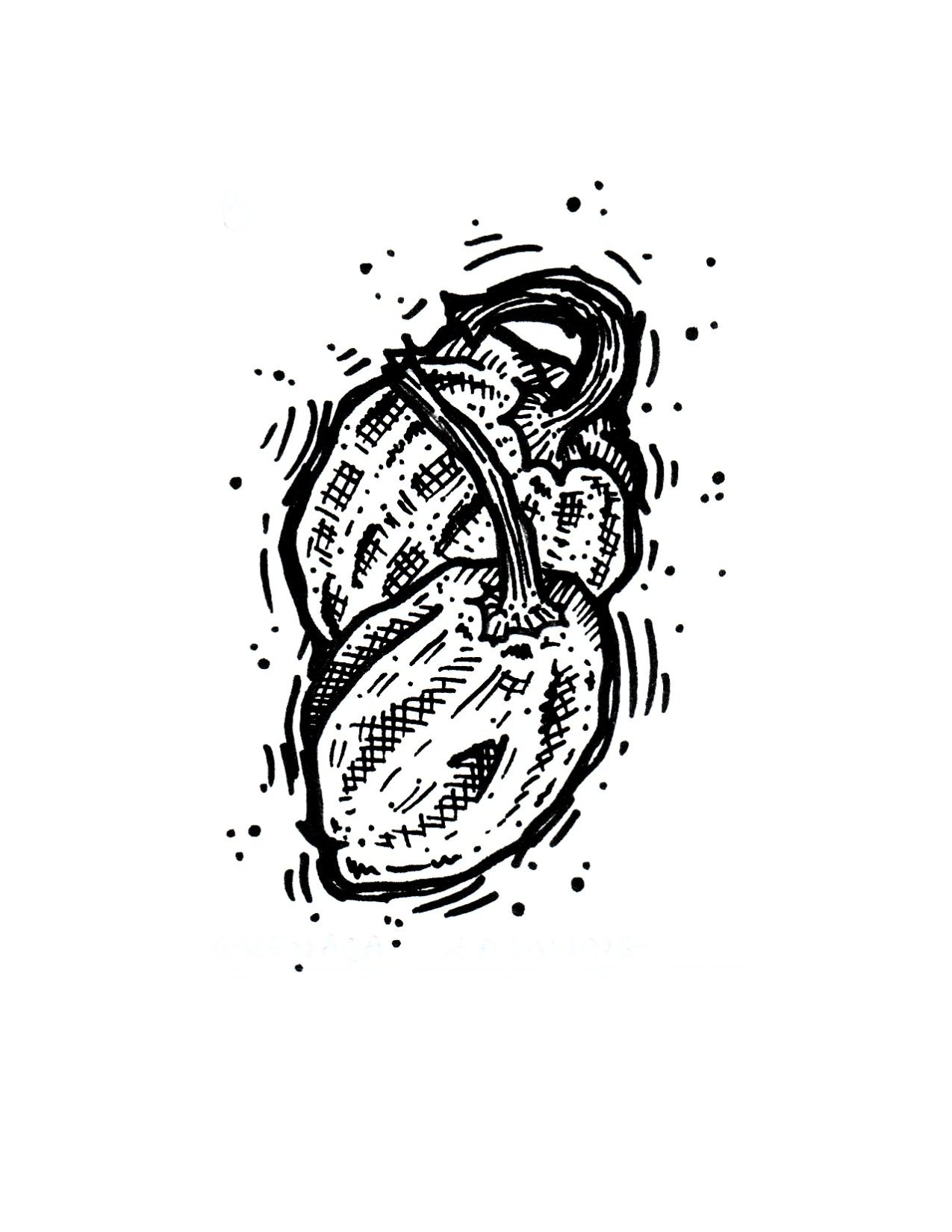 Grenada Seasoning Pepper - Imagen 2