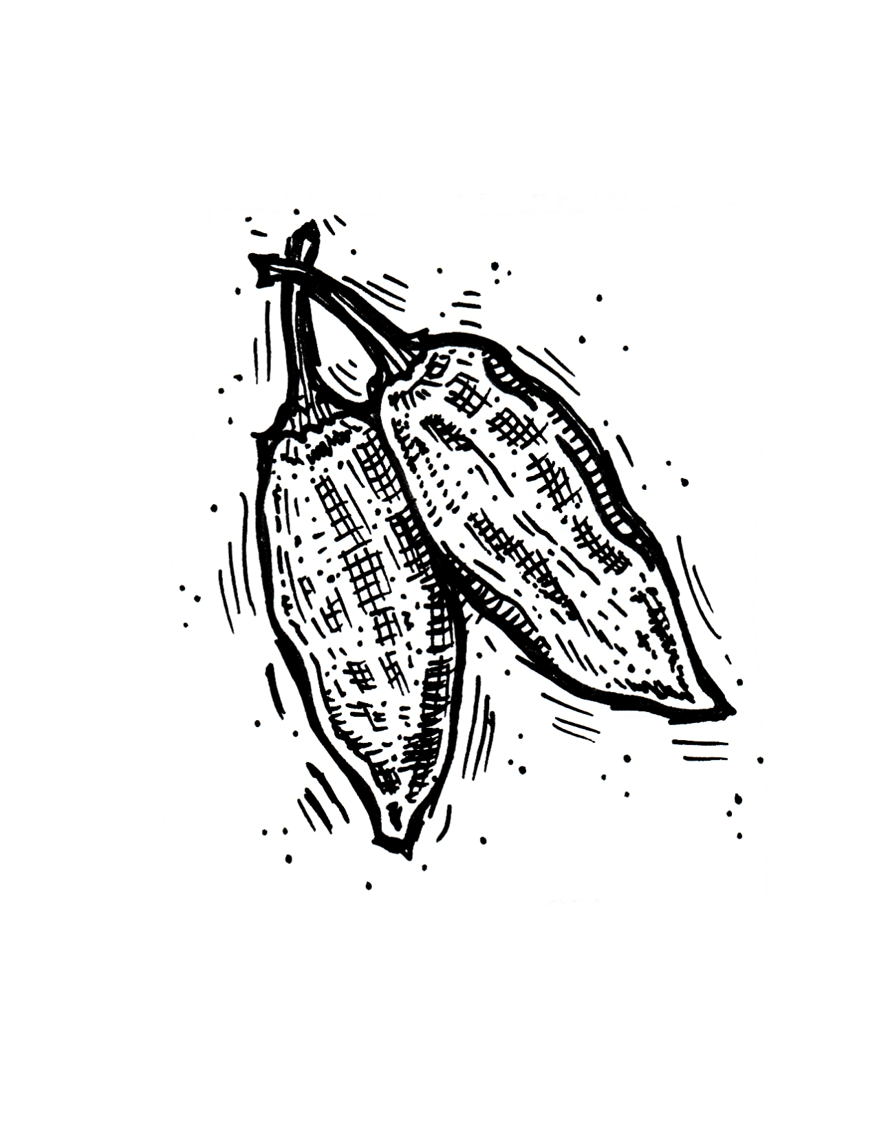 Sugar Rush Peach Pepper - Image 2